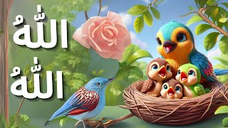 Chirya Boli Choo Choo  ALLAH HOO ALLAH HOO  Urdu Hindi Poems for Kids Islamic Rhymes for Children [upl. by Anavrin]