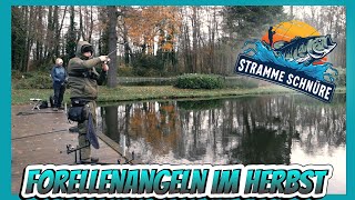 Forellenangeln im Herbst mit Spoon Libra Lures und Pose  Stramme Schnüre  Folge 31 [upl. by Kostman]