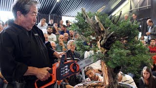 Kunio Kobayashi Bonsai demonstration [upl. by Talbot]