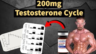 200mg Testosterone Cycle  Best Steroid Cycle  Muscle Gains  Side Effects  Doctors Analysis [upl. by Enitselec]