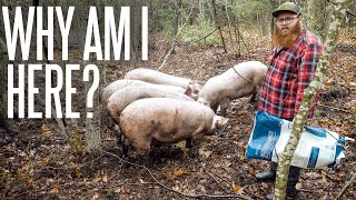 What’s The Point Of Homesteading In New Hampshire [upl. by Llehcnom]