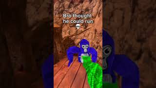 WAIT gorillatag gtag vr funny [upl. by Osnohpla]