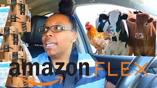 AMAZON FLEX  AFTERNOON DELIVERIES [upl. by Oer766]