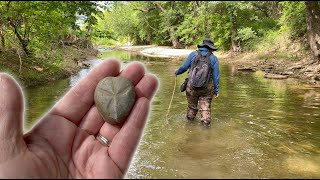 Creek Walking for Fossils  North Texas Creeks  Fossil Collecting  2023 [upl. by Mervin811]