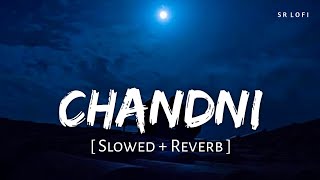 Chandni Slowed  Reverb  Sachet Tandon Parampara Tandon  SR Lofi [upl. by Bail178]