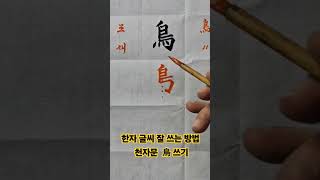 한자 글씨 잘 쓰는 방법천자문 鳥 쓰기 [upl. by Moishe975]