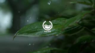 Water  PORCELANOSA Ecoproject [upl. by Ammej]