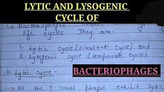 LYTIC AND LYSOGENIC CYCLE OF BACTERIOPHAGES bsc1styearzoologynotes zoology bsc universitynotes [upl. by Ranip]