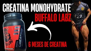 CREATINA MONOHYDRATE BUFFALO LABZ 1KG [upl. by Nickola]