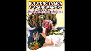 Bulutong ng manok paraan ng pagtanggal [upl. by Clarice365]