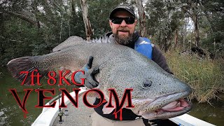 8kg Venom amp Giant river fish [upl. by Ile]