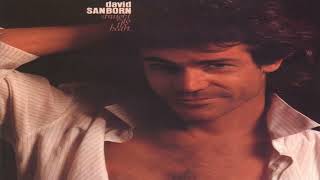 David Sanborn  Straight To The Heart [upl. by Naret]