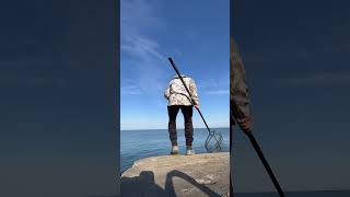 Fishing Ashtabula Break Wall for Monster Steelhead fishing lakeerien fish steelheadfishing [upl. by Bigler75]