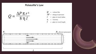 Poiseuilles law [upl. by Mushro]