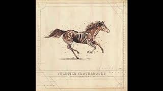 Turnpike Troubadours  Something To Hold On To  A Long Way From Your Heart [upl. by Idnym241]