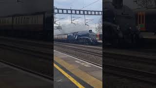 60007 Sir Nigel Gresley at Rugeley Trent Valley [upl. by Weissmann]