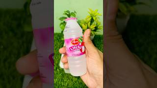 Litchi Drink 😍 Icecream shorts icecream trending viralvideo shortvideo asmrfunny MrBeast2 [upl. by Haimaj]