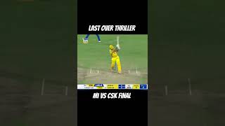 Dramatic and thrilling last over in final shorts cricket cricketlover [upl. by Acinomad191]