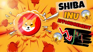 ALERTE CRYPTO SHIBA  🚨 EFFONDREMENT 😱  INVESTIR MAINTENANT OU ATTENDRE  🚀 [upl. by Alcine]