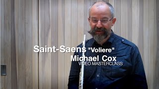 Carnival of the Animals quotVolièrequot flute solo  Michael Cox [upl. by Linkoski]