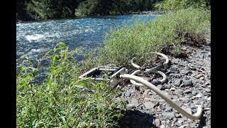 S5E2 Washington State Gold Mining on the Naches River with Pete [upl. by Sergei583]