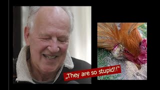 Werner Herzog  The Overwhelming Stupidity of Chickens [upl. by Linsk]