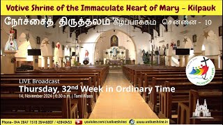 Votive Shrine Daily Mass  Live Stream  November 14 2024 Thursday 630 am  Tamil Mass [upl. by Stillman]