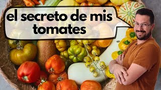 Mi secreto para acabar con las plagas del tomate para siempre [upl. by Ecinrahs]