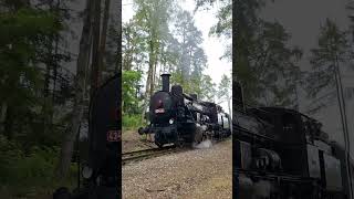 Čtyřkolákem do Kolešovic dampflok train steam vlak [upl. by Hasen852]