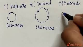 Draw the diagrams of different types of aestivation  CLASS 11  MORPHOLOGY OF FLOWERING PLANTS [upl. by Wiatt]