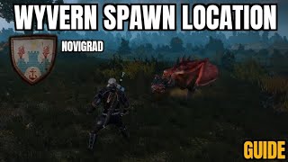 where to find a wyvern in the witcher 3 novidgrad area  the witcher 3 spawn location guide part 1 [upl. by Forlini]