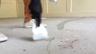 Crack amp Divot Repair for Epoxy Floor Coating [upl. by Gough]