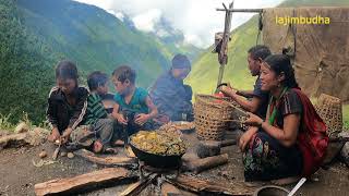 himalayan people life during crops harvesting season  lajimbudha [upl. by Alian]