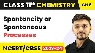 Class 11 Chemistry Chapter 6  Spontaneity or Spontaneous Processes  Thermodynamics [upl. by Nebeur147]