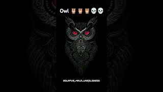 Eagleowl sound chake owl 🦉🦉💀💀💯💯☝️☝️ subscribe [upl. by Lucier]