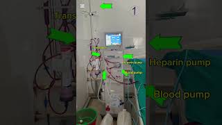 Part’s of dialysis machine hemodialysis hospital nursing [upl. by Bank377]