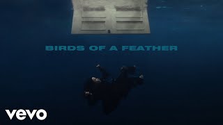 Billie Eilish  BIRDS OF A FEATHER Official Lyric Video [upl. by Ku]