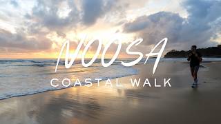 Noosa National Park Cinematic Hike on Noosa Coastal Walk [upl. by Lyreb939]