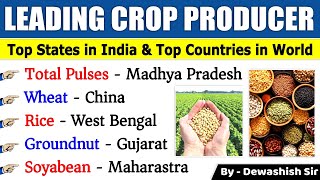 Top Crops Producing State In India  Top States amp Countries  महत्वपूर्ण फसल उद्पादक  Dewashish Sir [upl. by Thais143]