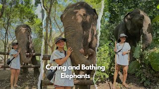 Hug Elephant Sanctuary in Chiang Mai Shot with DJI action 5 pro [upl. by Anelra778]