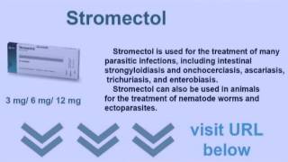 stromectol for scabies and stromectol buy [upl. by Casavant]