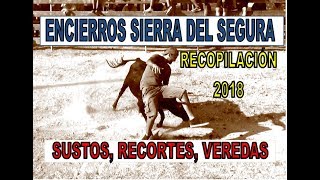 SUSTOS Encierros RECOPILACIÓN 2018 Sierra del Segura [upl. by Greggory]