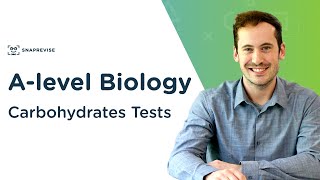 Carbohydrates Tests Benedicts amp Iodine Test  Alevel Biology  OCR AQA Edexcel [upl. by Neelrac]