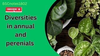 diversities in annual plants and perenial plants  bsc 1 st year  morphology in plants [upl. by Graner]