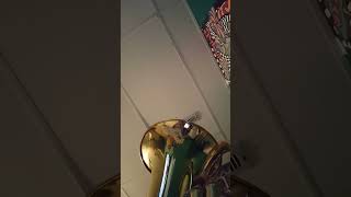 Ode to joy on euphonium beginnerbandband [upl. by Nesto]