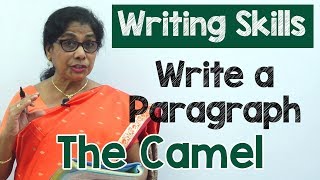 How to Write a Paragraph about The Camel in English  Composition Writing  Reading Skills [upl. by Goulet]