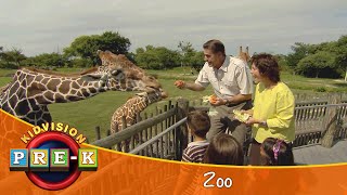 Zoo  Virtual Field Trip  KidVision PreK [upl. by Krenek]