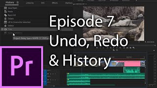 E7  Undo Redo and History  Adobe Premiere Pro CC 2020 [upl. by Isaac]