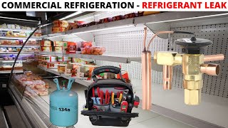 HVACR Service Call Commercial Refrigerator Not Cooling Refrigerant Leak RepairTXV Leaking Freon [upl. by Norval]