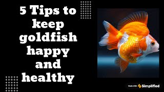 5 Tips to keep goldfish Happy and Healthy  Must watch [upl. by Ariak]